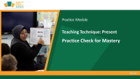 Practice Check for Mastery